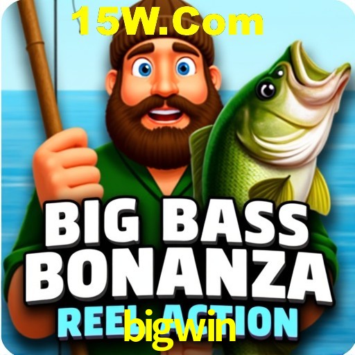 Security Systems bigwin